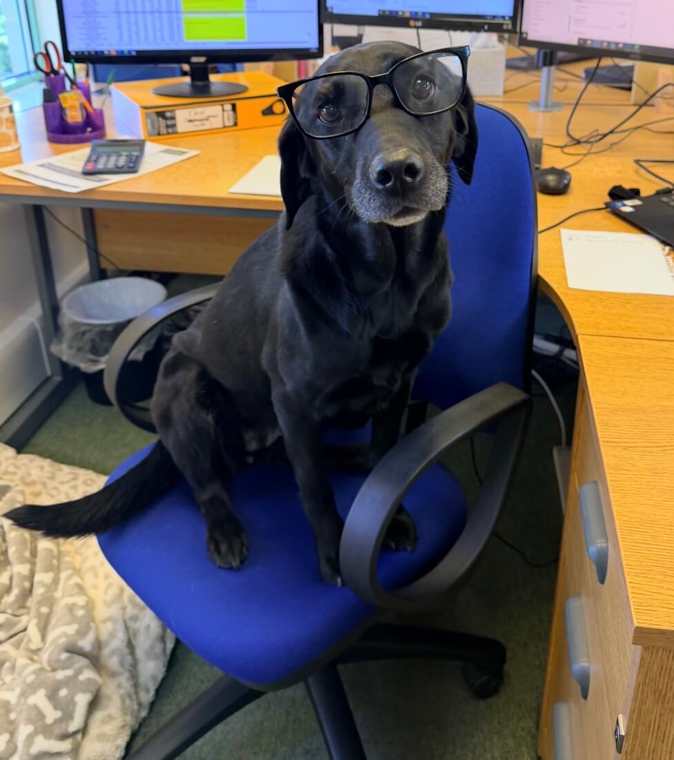 Reggie knows VJH Accountancy has everything under control